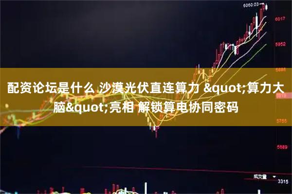 配资论坛是什么 沙漠光伏直连算力 "算力大脑"亮相 解锁算电协同密码